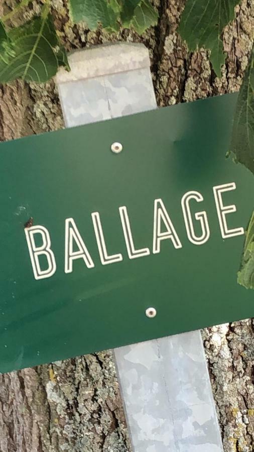 Le Gite De Ballage Chemille-Sur-Deme ภายนอก รูปภาพ