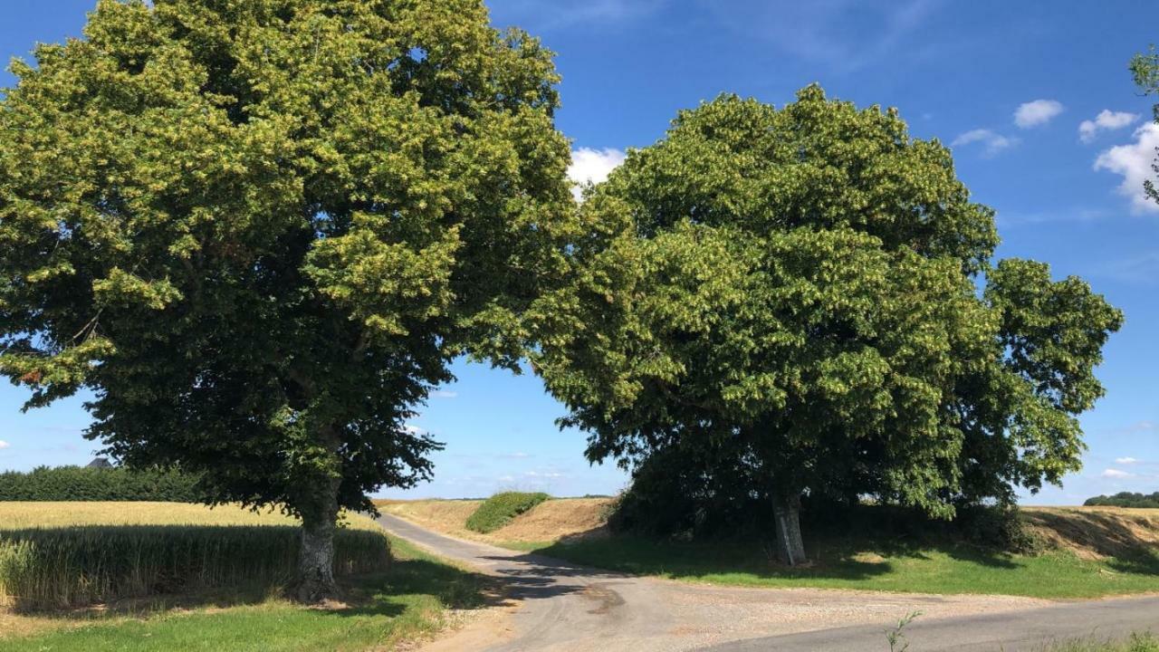 Le Gite De Ballage Chemille-Sur-Deme ภายนอก รูปภาพ